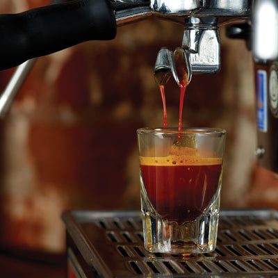 How to brew red espresso® Rooibos on your espresso machine