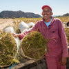 Barend Ockhuis, subsistence Rooibos farmer